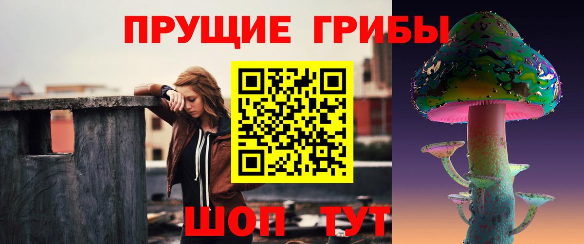 Галлюциногенные грибы ЛСД  Псилоцибиновые грибы прущие грибы  Кондопога  Вход с VPN 