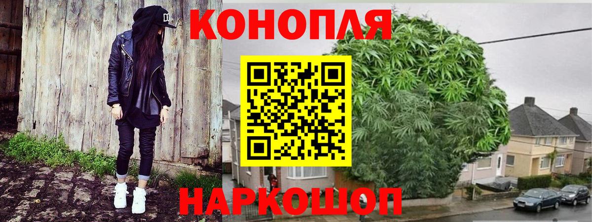 Шишки марихуана OG Kush Кондопога